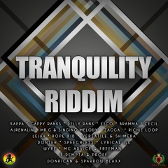 Tranquility Riddim Mix EMPIRE SOUNDS [@EMPIRESOUND]