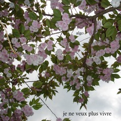 The Stage (シーン)