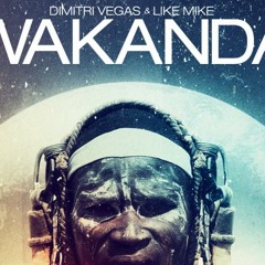 Wakanda Mega - Dimitri n Mike Vs Bassjackers - Skowy Edit