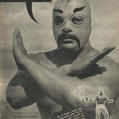 Leroy´s 401 Demo (sp 303 mix)