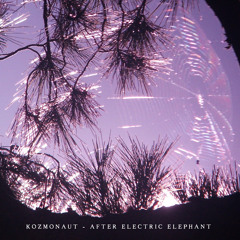 Kozmonaut - After Electric Elephant