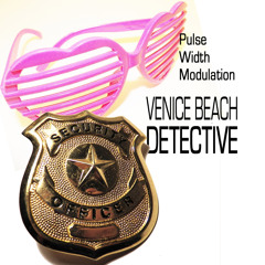 Pulse Width Modulation - Venice Beach Detective