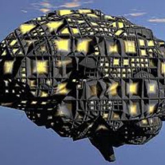 Hive Mind Meets Machine Consciousness