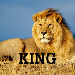 Ahzee - King (Remix Hugo)