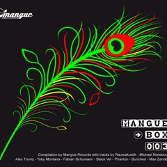 Fabian Schumann & Bunched ft. Thomas Natzschka - Make Me Smile