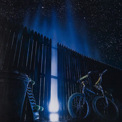 Fast Night