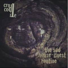 02 Crocodile