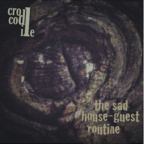 02 Crocodile