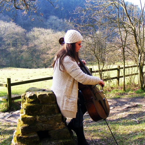 Schubert - Andante from String Quartet Op. 29