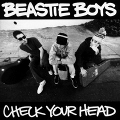 Beastie Boys - Pass The Mic (Kaldium REMIX)