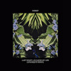 Indeep Last Night A Dj Saved My Life Lemarquis Remix Mp3