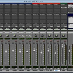 Summer Brings Me Sorrow