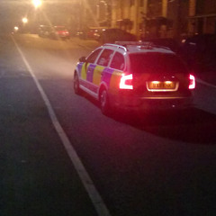 Rowen Mac - Snakes Round Here