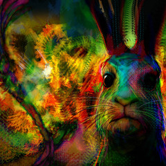 DoRite - Funk The Pussy