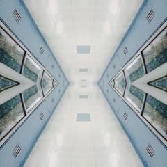 Loop Dejavu (Pop Mortem Remix)