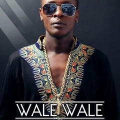 Wale Wale - Dr Jose chameleon