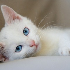 Wala ng hihigit pa (original)