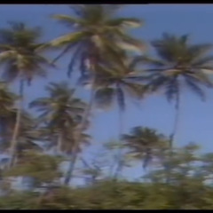 Something For The Weekend [Wild Combination Special]