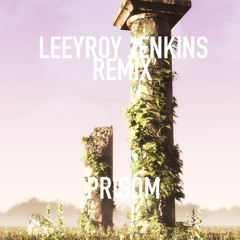 "Leeroy Jenkins" Prisom Remix