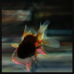 Azlejazz - Bad Gulf Dream