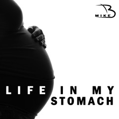 Bmike - Life in my stomach