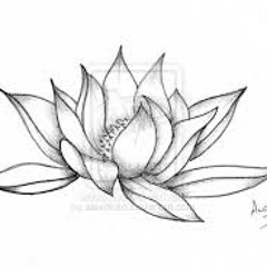 B Line - Lotus Flowers (instrumental)