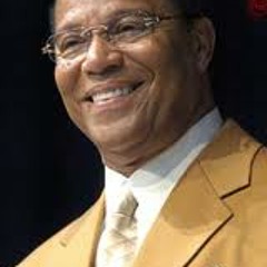 Farrakhan Soldiers!
