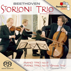 Beethoven Storioni Trio: Bart van de Roer, Wouter Vossen, and Marc Vossen