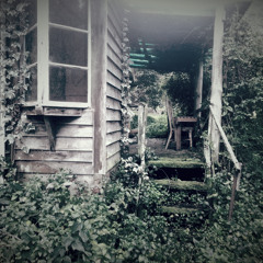 Please Don't Say You Love Me (Cover)