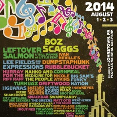 WDVE Interview for Flood City Music Festival 2014