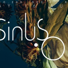 Soma Taipei Podcast 002 SINUS O