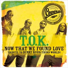 TOK - NOW THAT WE FOUND LOVE (cover)