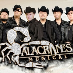 Alacranes Musical - por tu amor duranguense.mp3