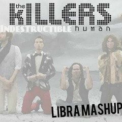 Tonny Nesse Vs The Killers - Indestructible Human (Ahmed Romel Remix) (Libra Mashup) [Preview]