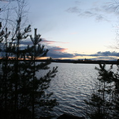 Den Hemliga Musiken - En Monoton Musikstund I Rottnebyskogen