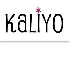 Take What You Can Get - Kaliyo