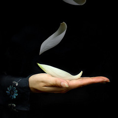 BIẾT THẾ - Nhạc & Lời: Tôn thất Minh - Ca sĩ: Huy Bảo