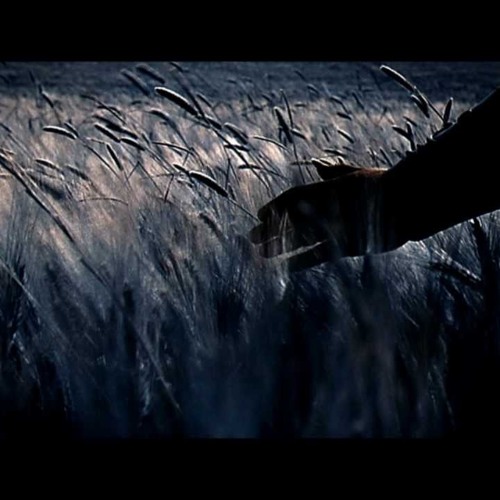 Stream gladiator maximus death scene by elias nilsson composer 