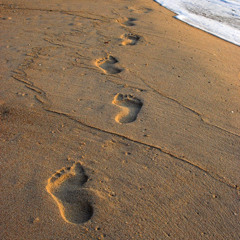 Footprints Take 2 (remastered)