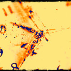 On the last day we had no time (Acoustic demo teaser)