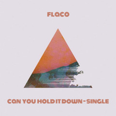 Can You Hold It Down - Single