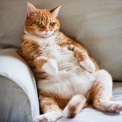 Recliners