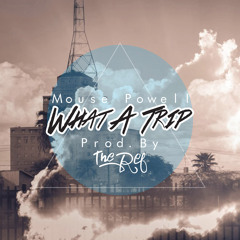 What A Trip