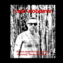 Last Goodbye (Live)