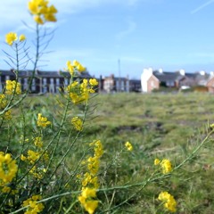 Action Drama Score Ver2