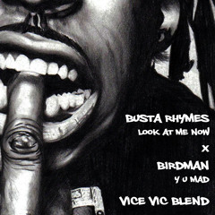 Busta Rhymes - Look At Me Now X Birdman - Y.U MAD (Vice Vic Blend)