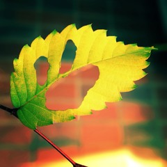 SweetSongSadSong  111111111111(twelve one)