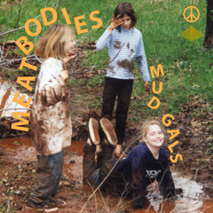 Meatbodies -  Rotten