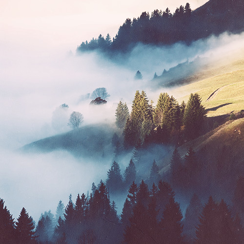 Megi Gogitidze - Sicocxle Minda