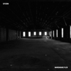 Warehouse Flex (Original Mix)